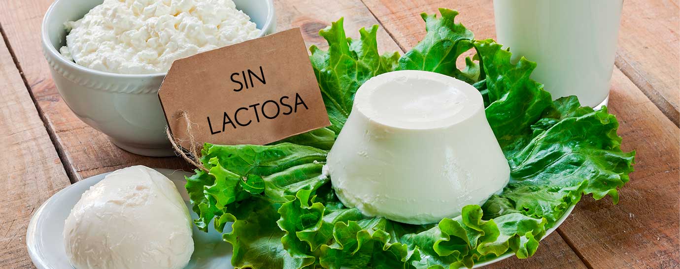 Mozarella sin lactosa colocada sobre unas hojas de lechuga